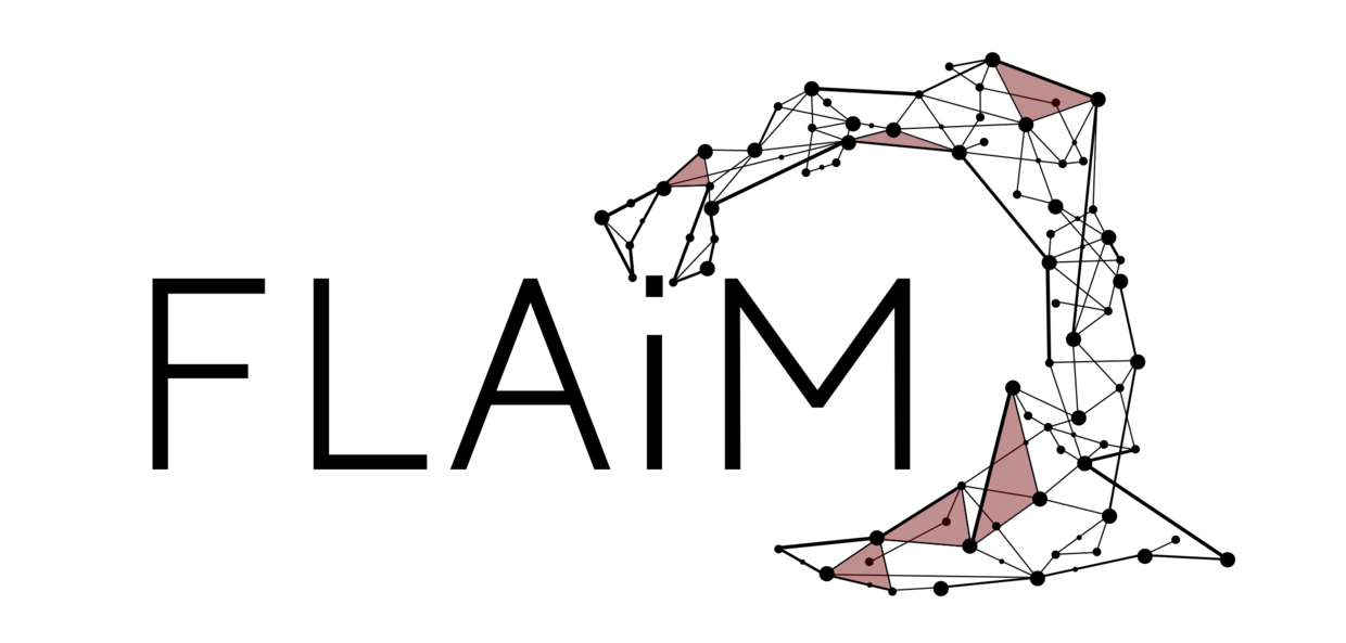FLAIM project logo